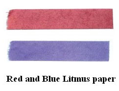 Litmus-paper