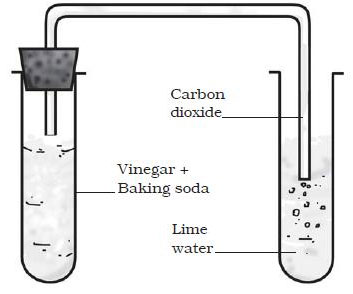 Reaction-Vinegar-Baking-soda