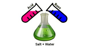 NCERT 7th Class (CBSE) Science: Acids, Bases and Salts