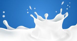 दूध पर हिंदी निबंध Hindi Essay on Milk