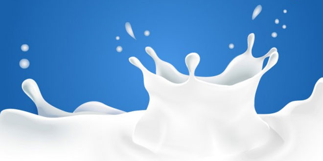 दूध पर हिंदी निबंध Hindi Essay on Milk