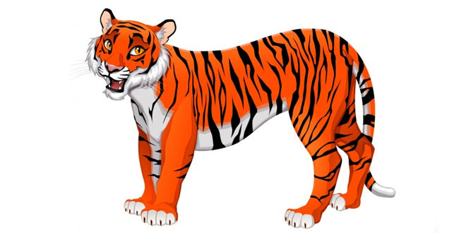 English essay on Tiger for students and children - Class Notes