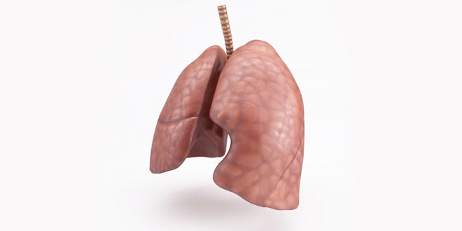 Respiration in organism