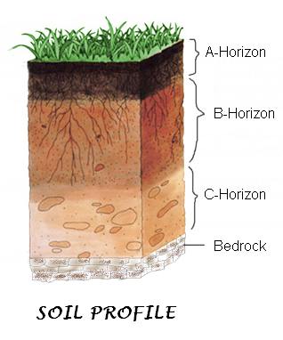 soil profil