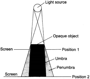 Formation of Umbra and Penumbra