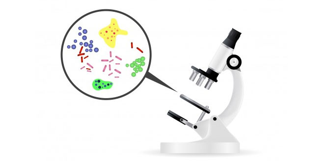 Microorganisms