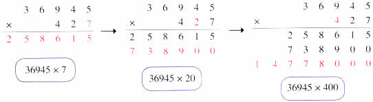 Multiplying by a 3-Digit Number