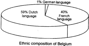 Ethnic communities of Belgium