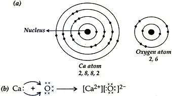 Nucleus