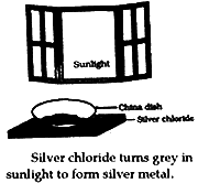 gray in sunlight 1