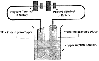 anode and cathode