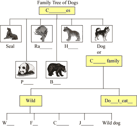 Family Tree of Dogs