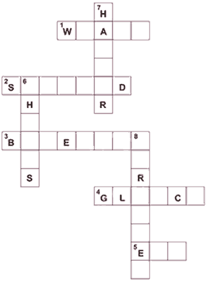 crossword