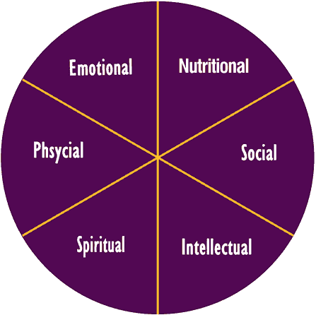 Components Of Wellness