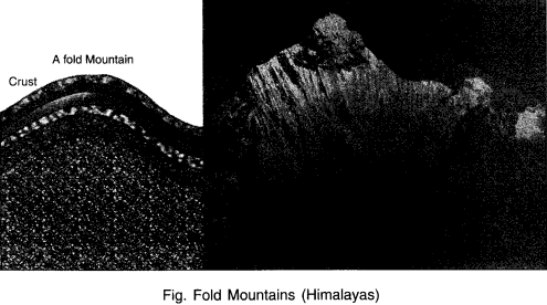 Fold Mountains