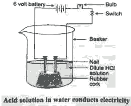 10th CBSE Science Pre Board Exam 2020-21 - Question 18