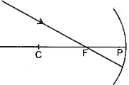 Redraw the diagram given below in your answer book and show the direction of the light ray after reflection from the mirror