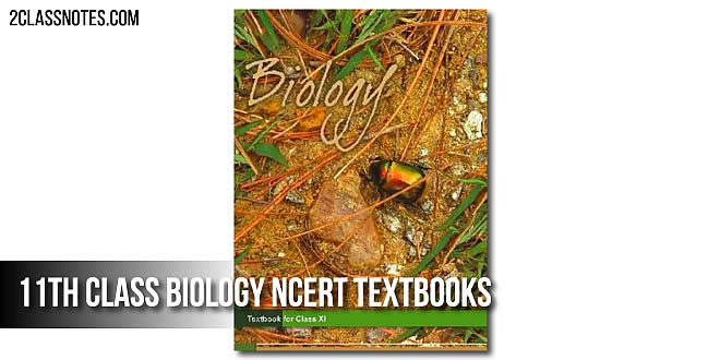 CBSE Class 11th Biology Syllabus 2024-25: Download PDF