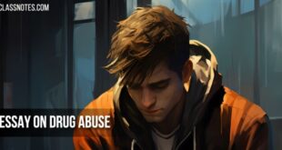 English Essay on Drug Abuse