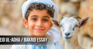 Eid ul-Adha / Bakrid: 2 Long & Short English Essay for School Children