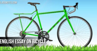English Essay on Bicycle: 500 Words Essay On Bicycle