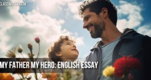 My Father My Hero English Essay For School Children